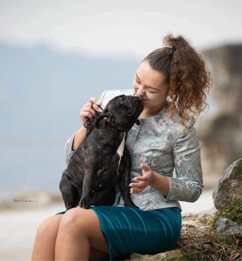 bouledogue français
