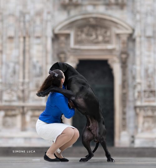 complicité dogue allemand