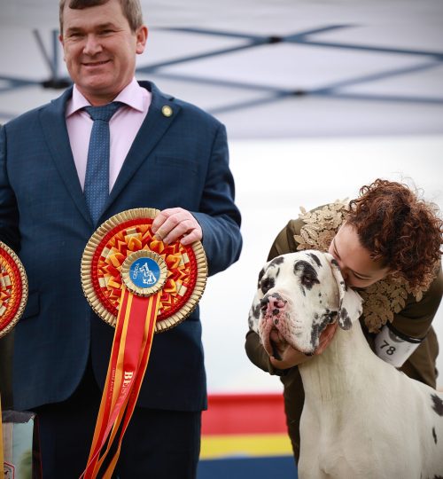 _ Ponza Del Castello Delle Rocche ~ winning Best In Show in Spain