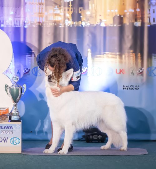 _ White Dream Team Quintana Quesa ~ winning 3rd Best In Group in Bratislava